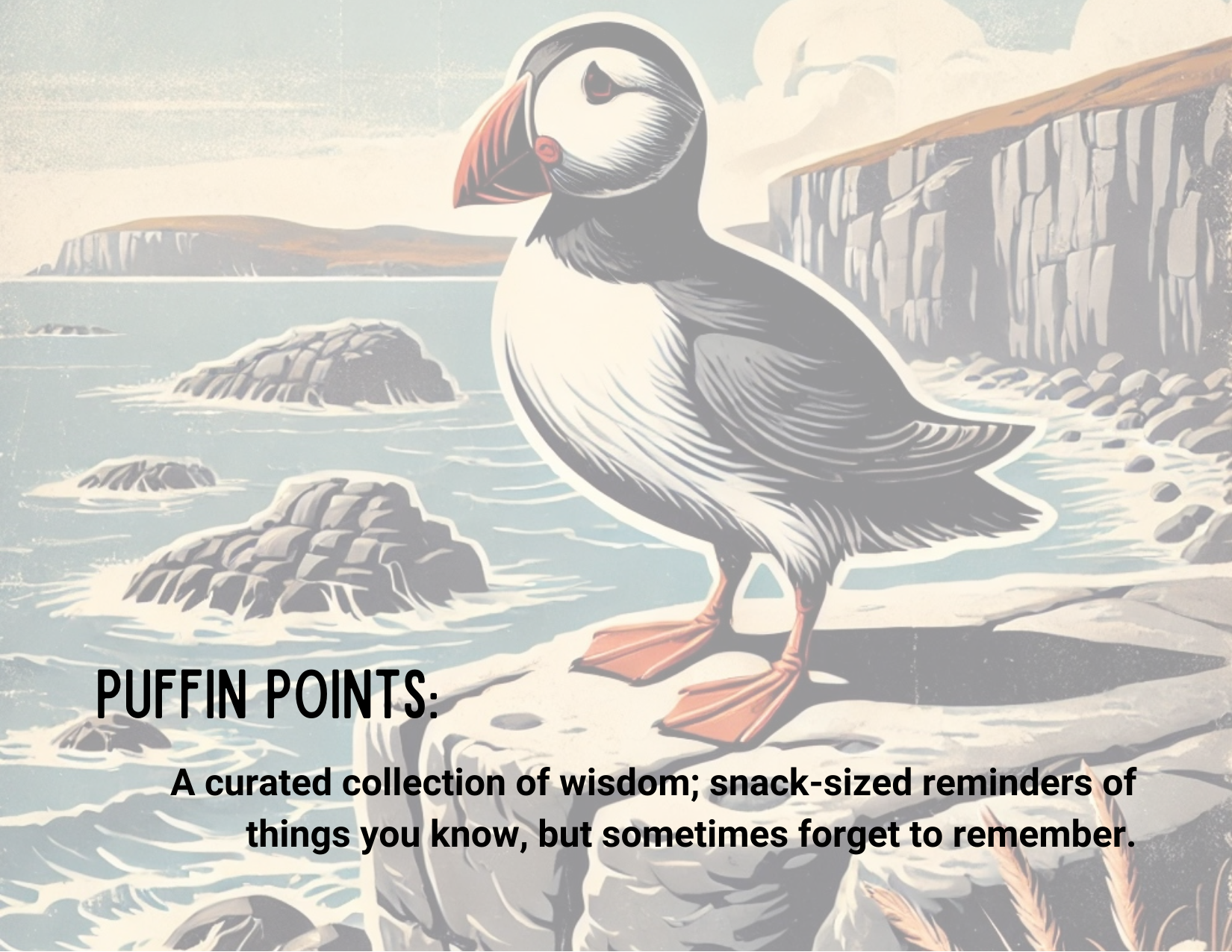 Puffin Points